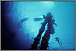 Diver Hovers Near Wreck Mast
