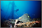 Divers On Deep Wreck