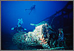 Micro Divers Discover A Tank On Sunken Wreck