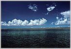 Shallows Inside Ningaloo Reef