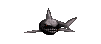 Shark circling around!
